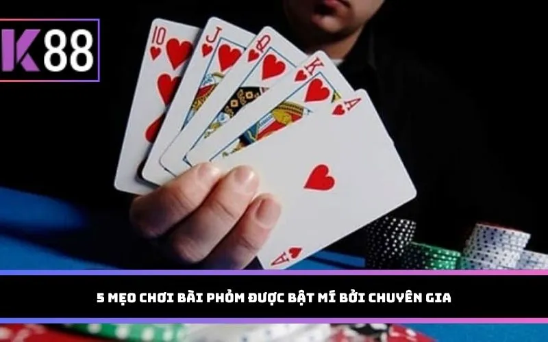 5 mẹo chơi bài Phỏm được bật mí bởi chuyên gia
